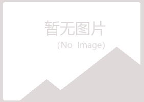 大通区白山建设有限公司